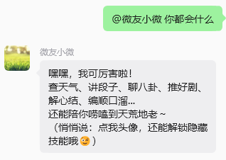 微友小微回答自己的技能截图